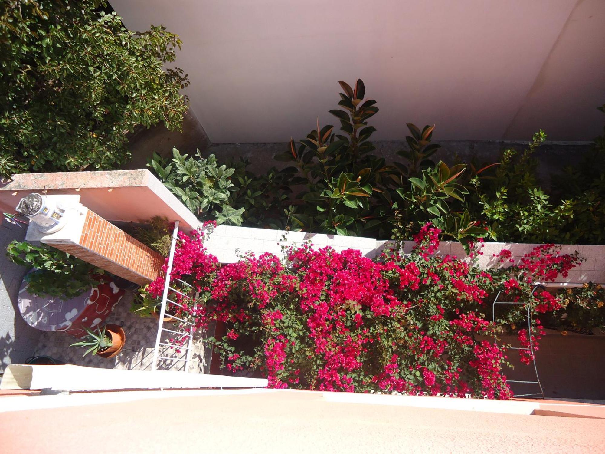 Hotel Aviz Figueira da Foz Exterior photo
