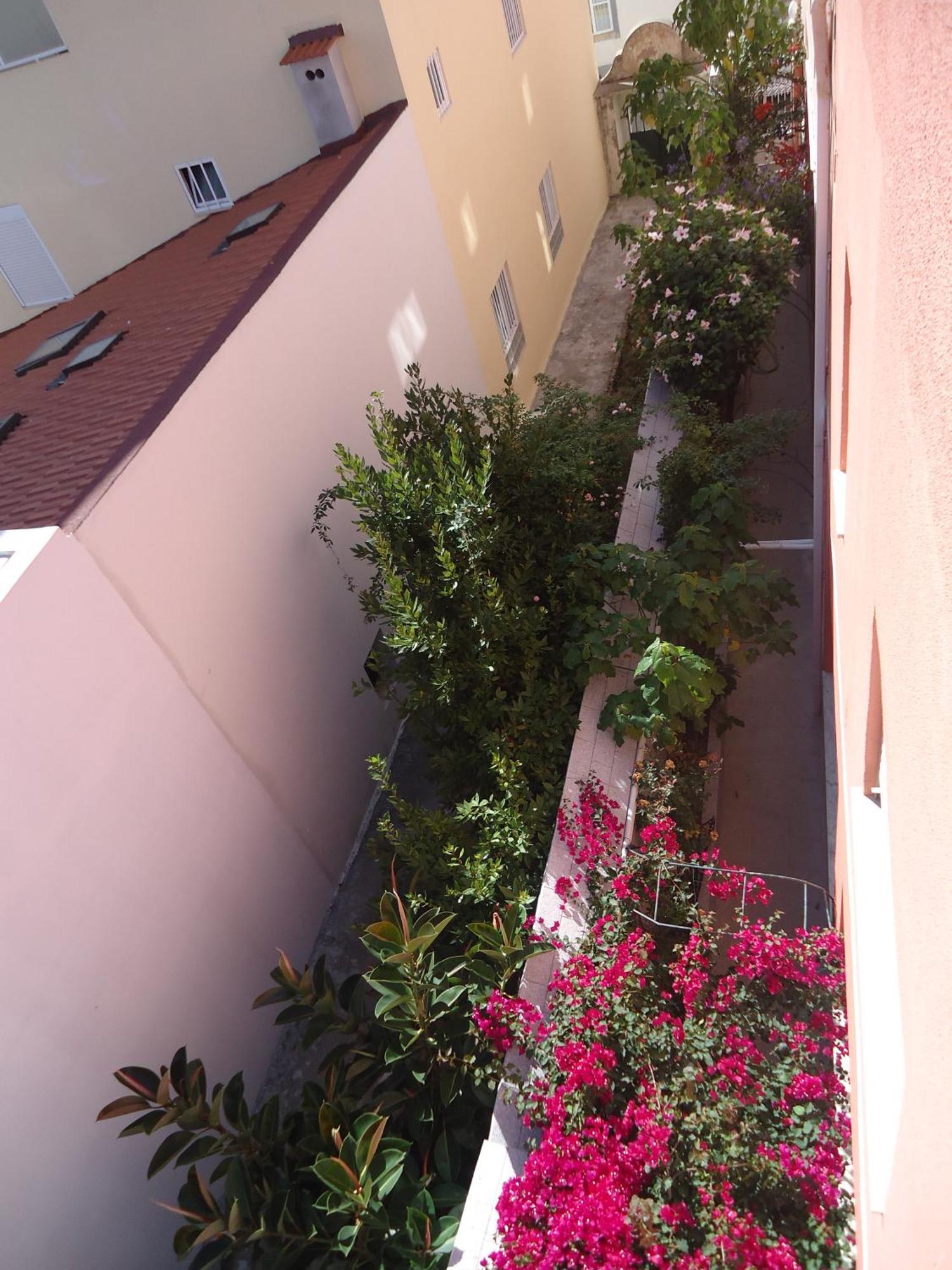 Hotel Aviz Figueira da Foz Exterior photo
